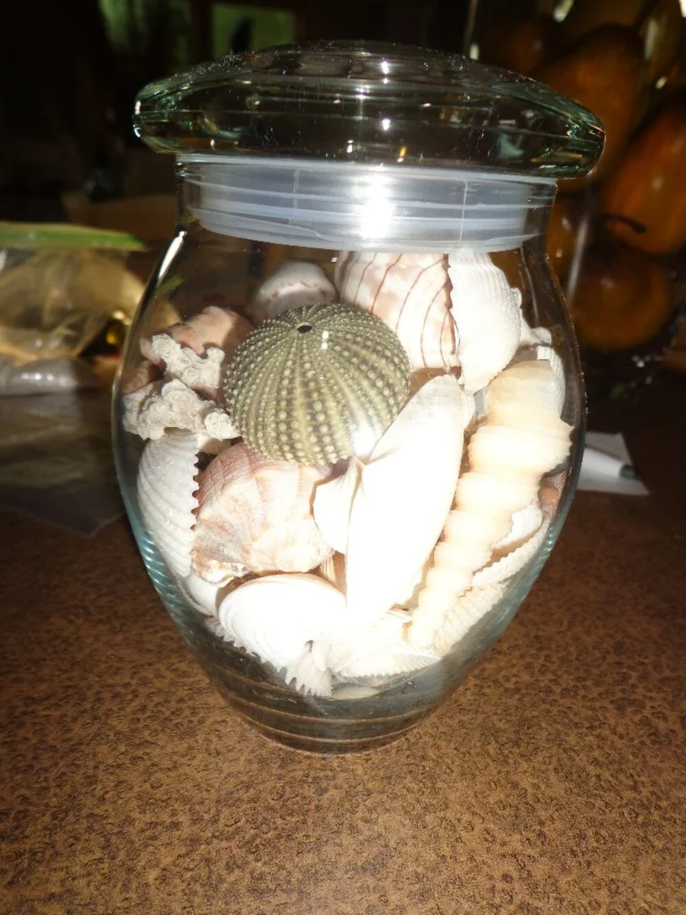 Glass Container/Lid filled w/Various Sea Shells